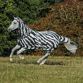 Bucas Ronzio fuori Zebra