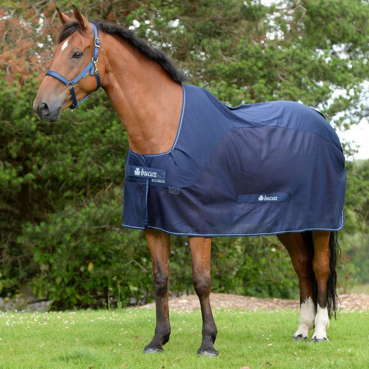 Bucas Raffreddatore da Competizione Navy