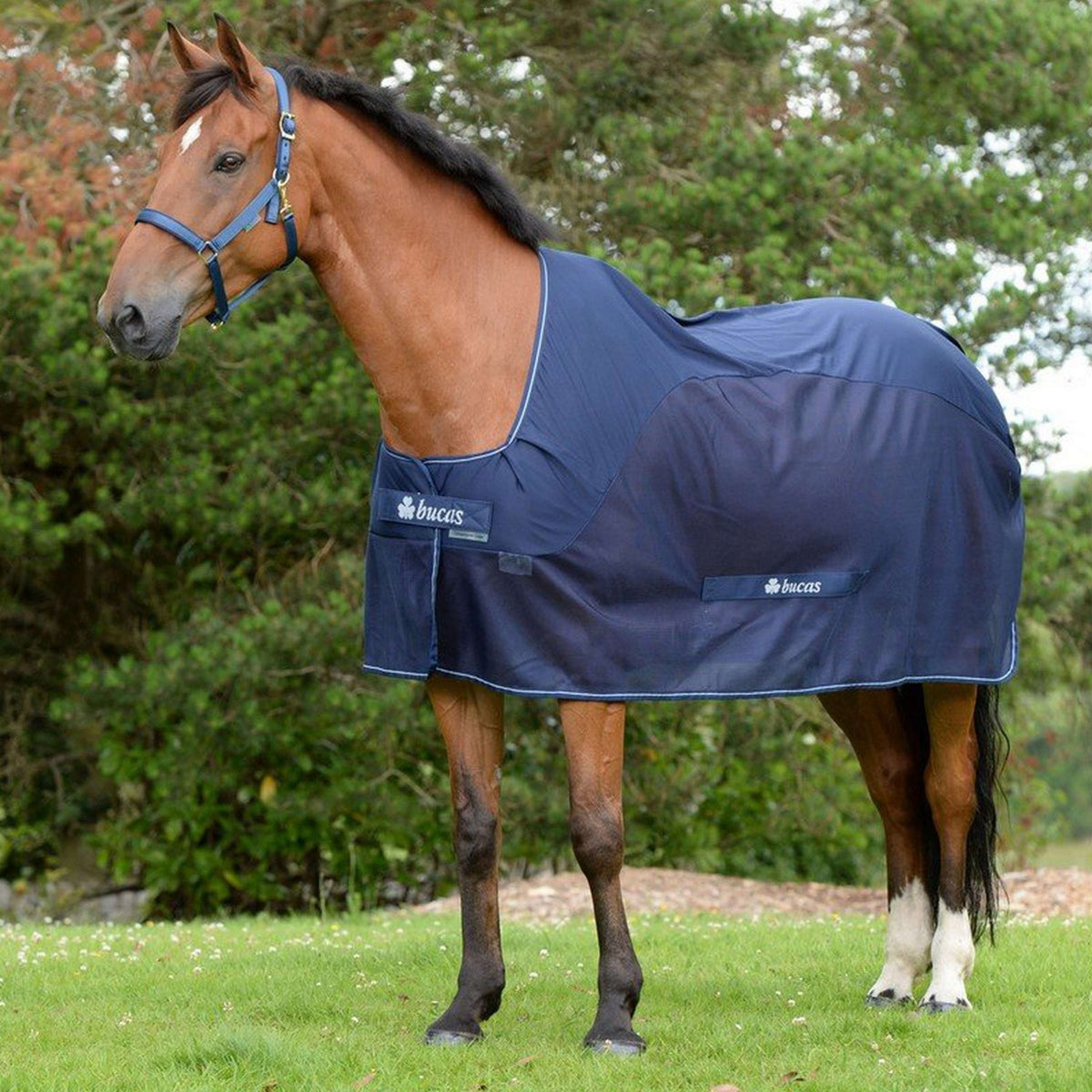 Bucas Raffreddatore da Competizione Navy