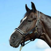Bucas Capestro Dublin Foal Black/Silver