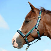 Bucas Capestro Dublin Foal Marina a strisce