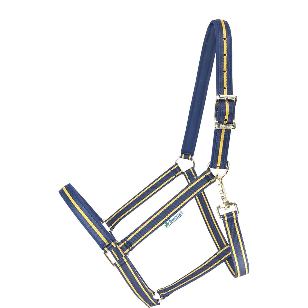 Bucas Capezzina Dublin Navy/Gold