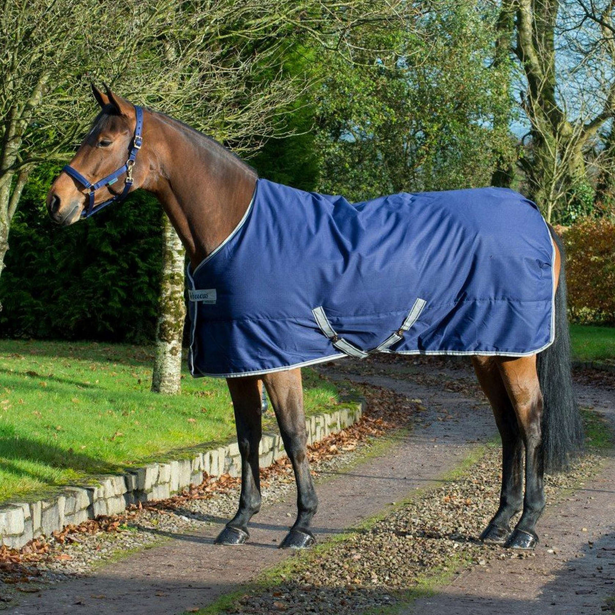 Bucas Freedom Coperta da Scuderia 300g Navy