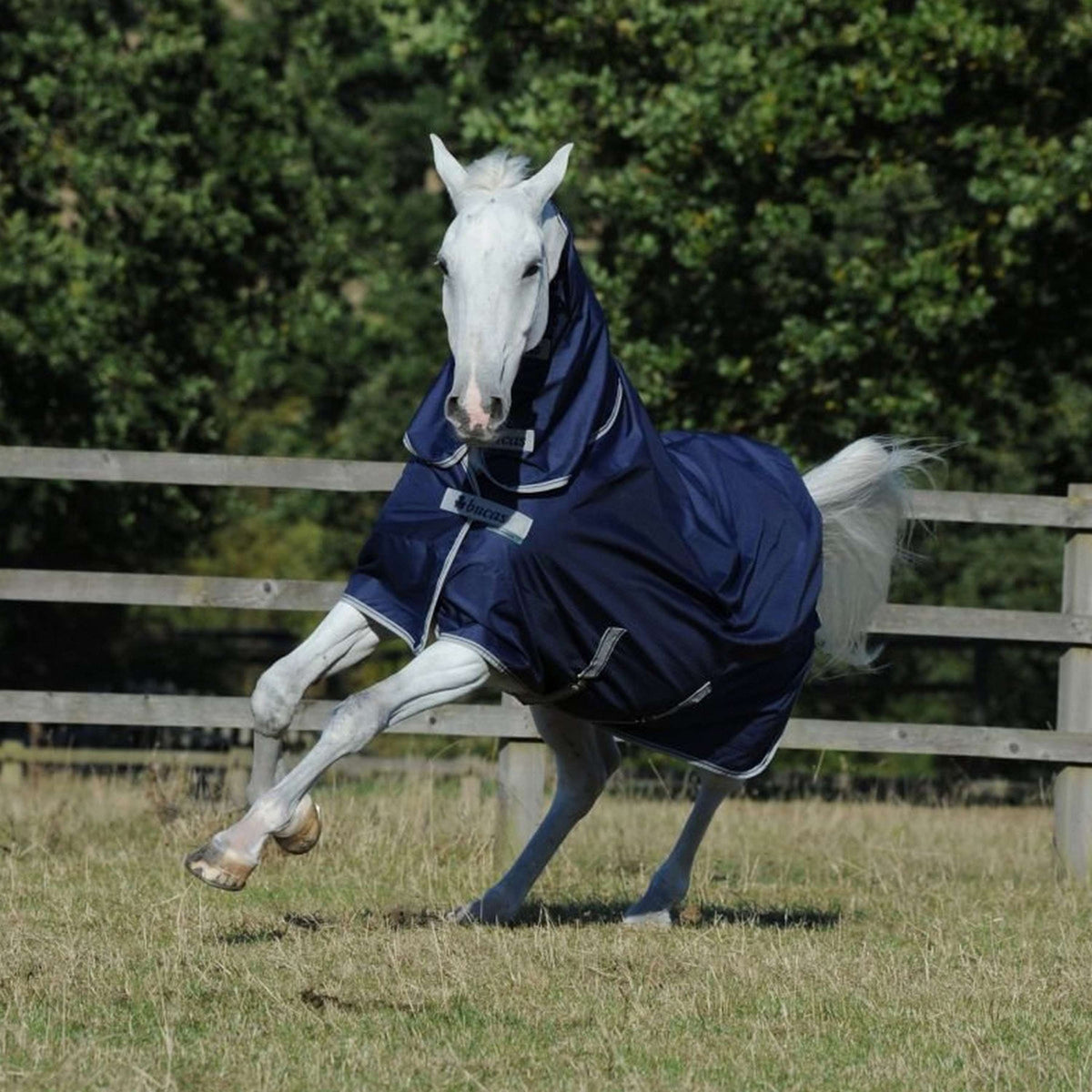 Bucas Turnout Freedom 150gr Navy