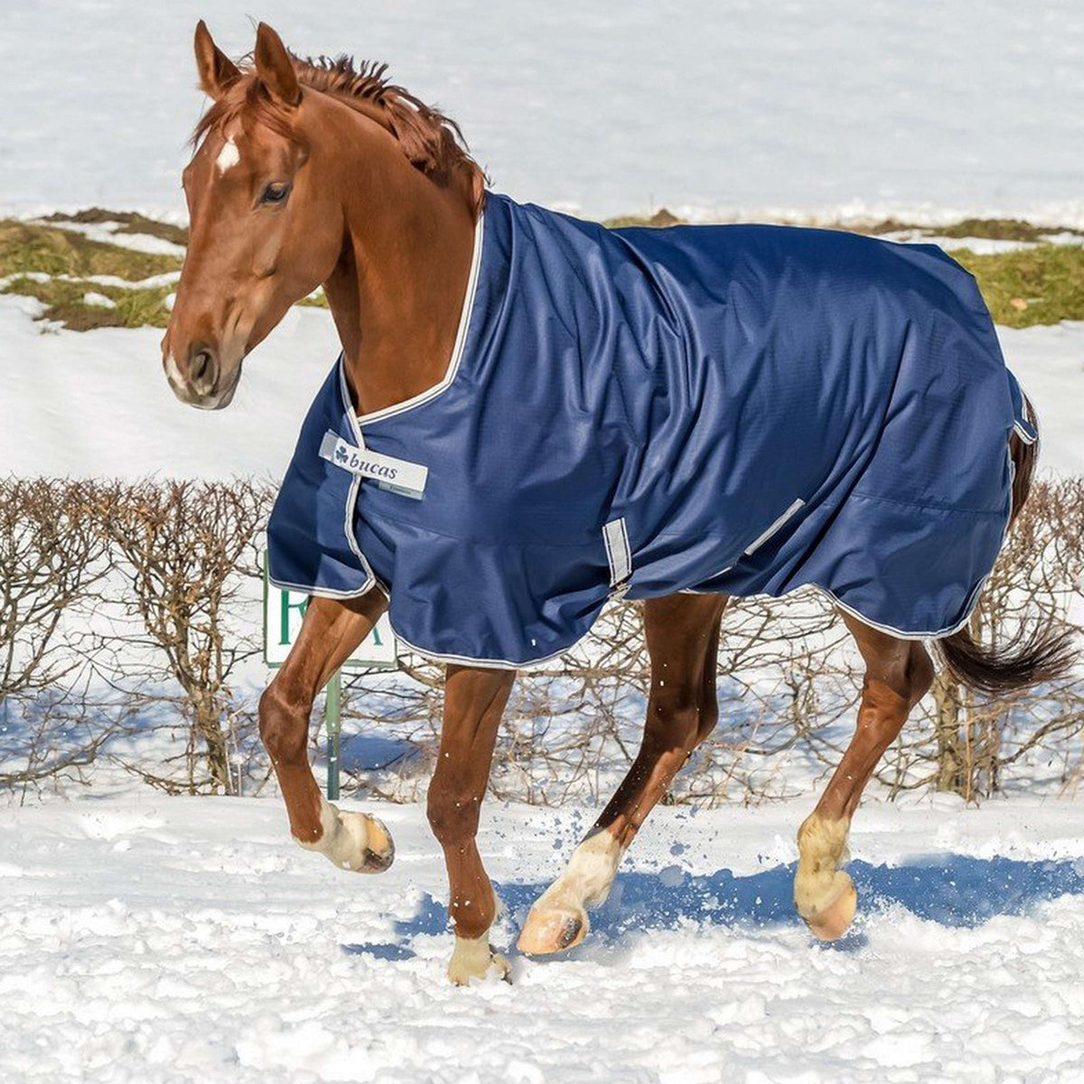 Bucas Turnout Freedom Blu marino/Argento