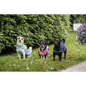 Bucas Freedom Dog Rug Turquoise