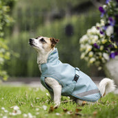 Bucas Freedom Dog Rug Turquoise