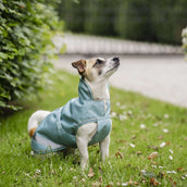 Bucas Freedom Dog Rug Turquoise