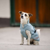 Bucas Freedom Dog Rug Turquoise