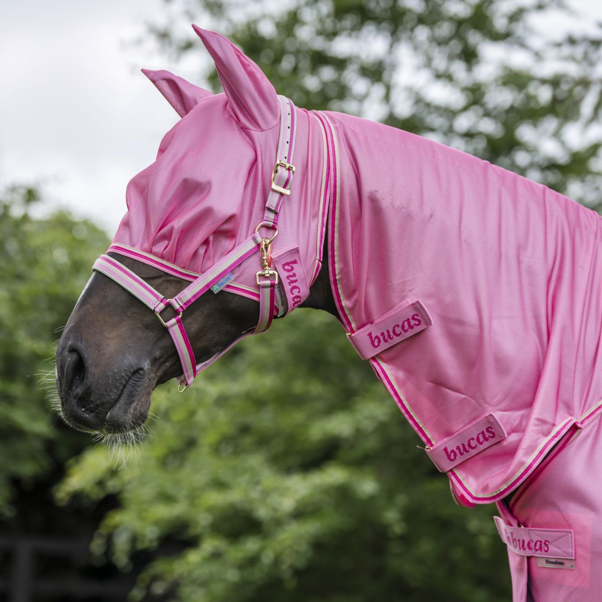 Bucas Freedom Vliegenmasker Aurora Pink