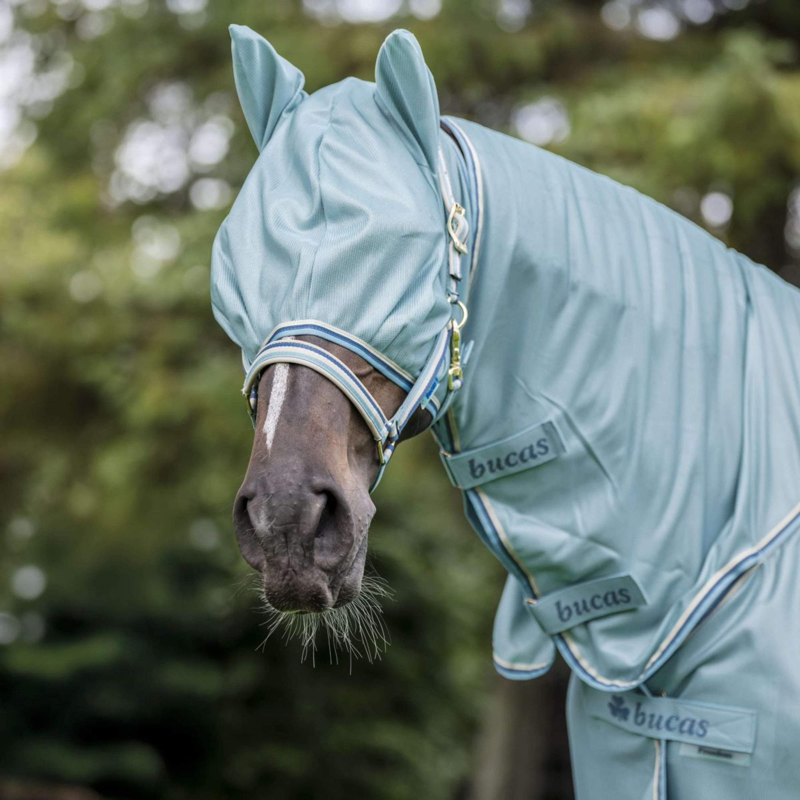 Bucas Freedom Vliegenmasker Turquoise Bucas Freedom Vliegenmasker Turquoise