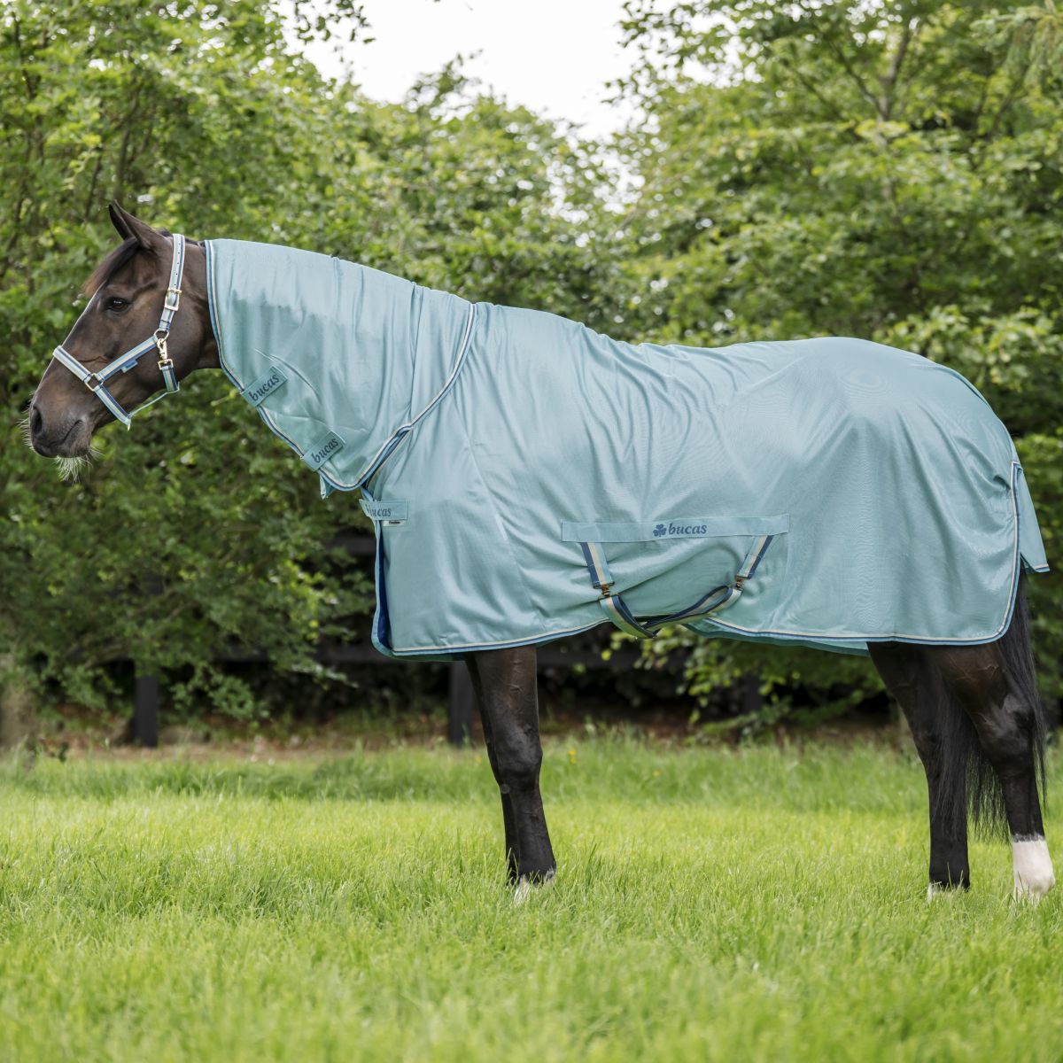 Bucas Freedom Fly Sheet Full Neck Turquoise