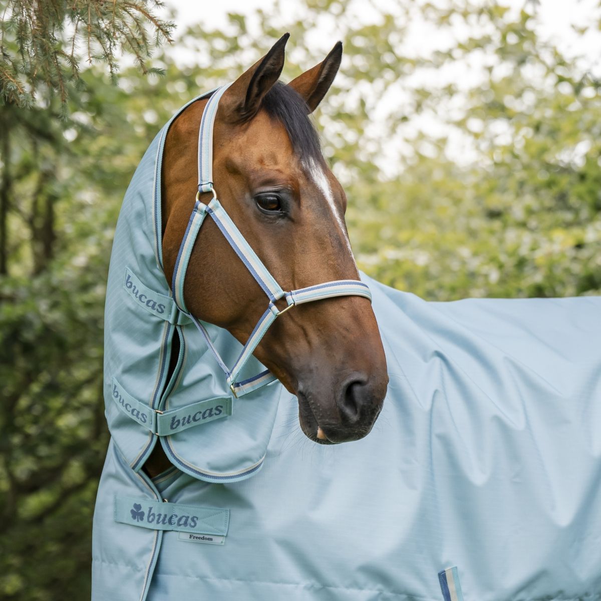 Bucas Capezzina Dublin Turquoise