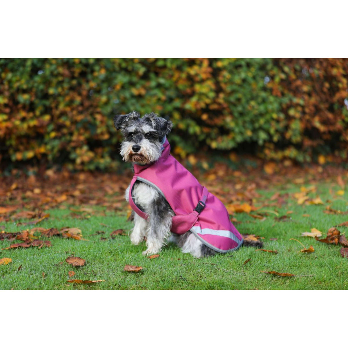 Bucas Freedom Dog Rug 150g Lampone