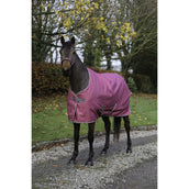 Bucas Freedom Coperta da Scuderia 300g Lampone