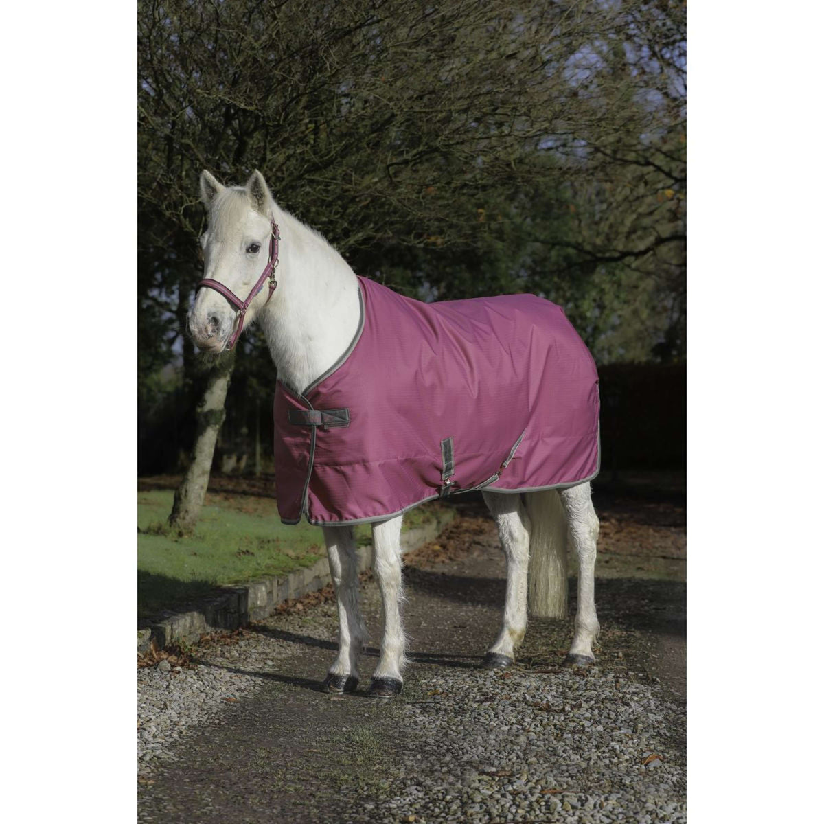 Bucas Freedom Coperta da Scuderia 300g Lampone