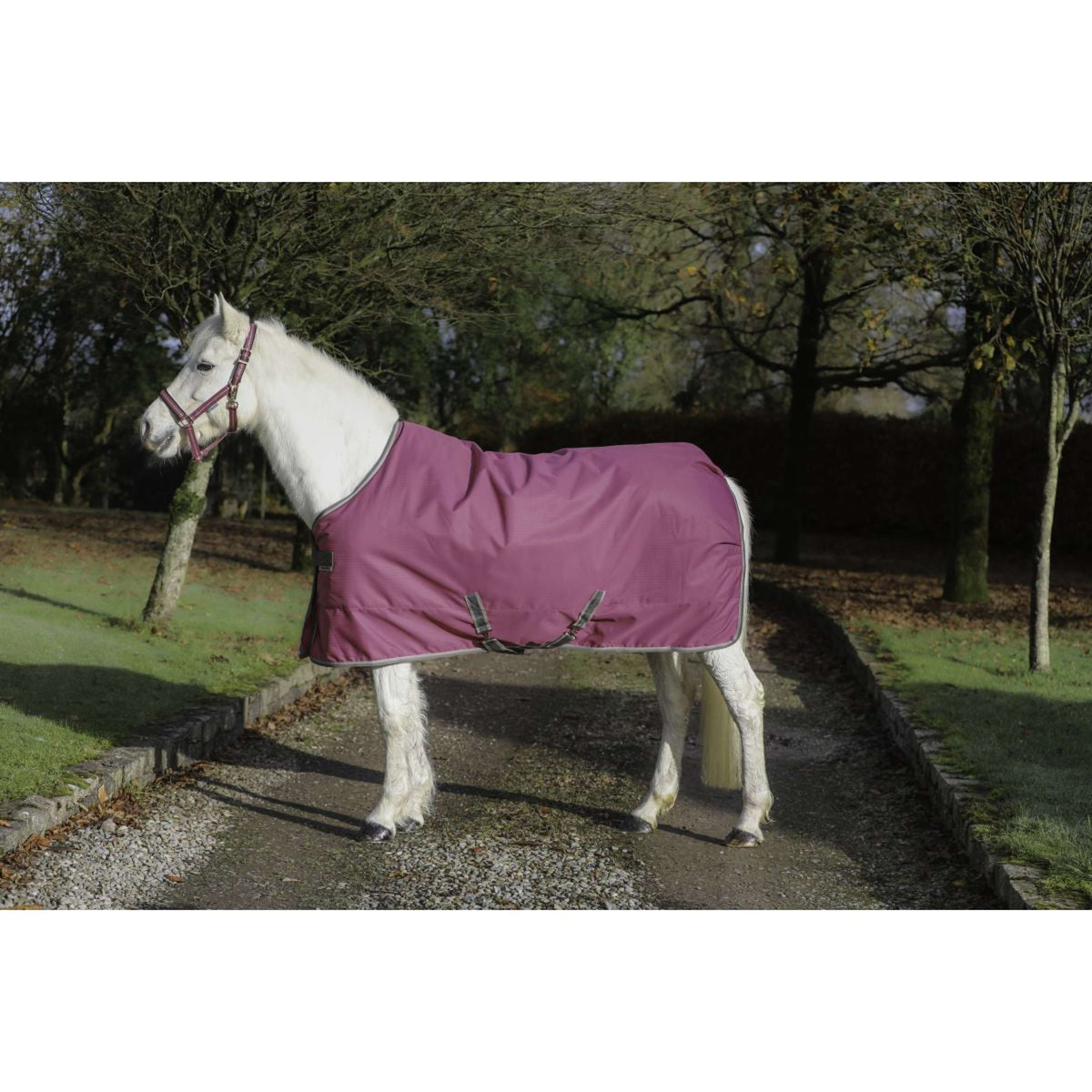 Bucas Freedom Coperta da Scuderia 300g Lampone