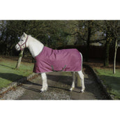 Bucas Freedom Coperta da Scuderia 300g Lampone