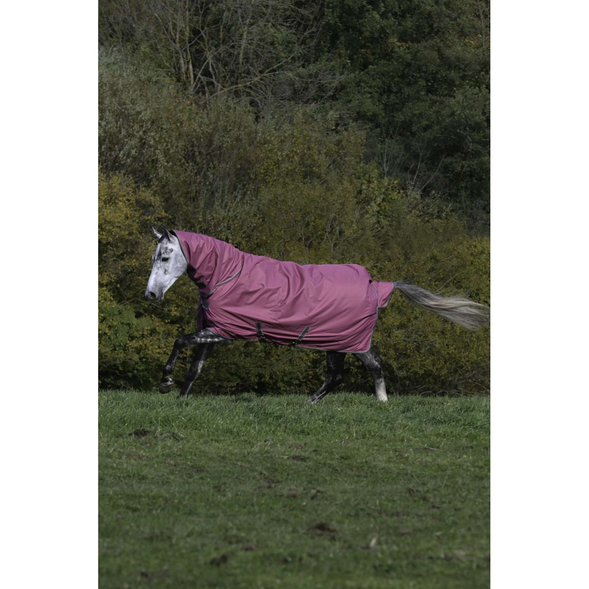 Bucas Freedom Turnout Full Neck 0g Lampone