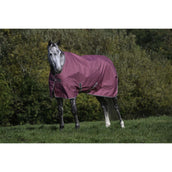 Bucas Freedom Turnout Light 0g Lampone