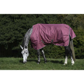 Bucas Freedom Turnout Light 0g Lampone