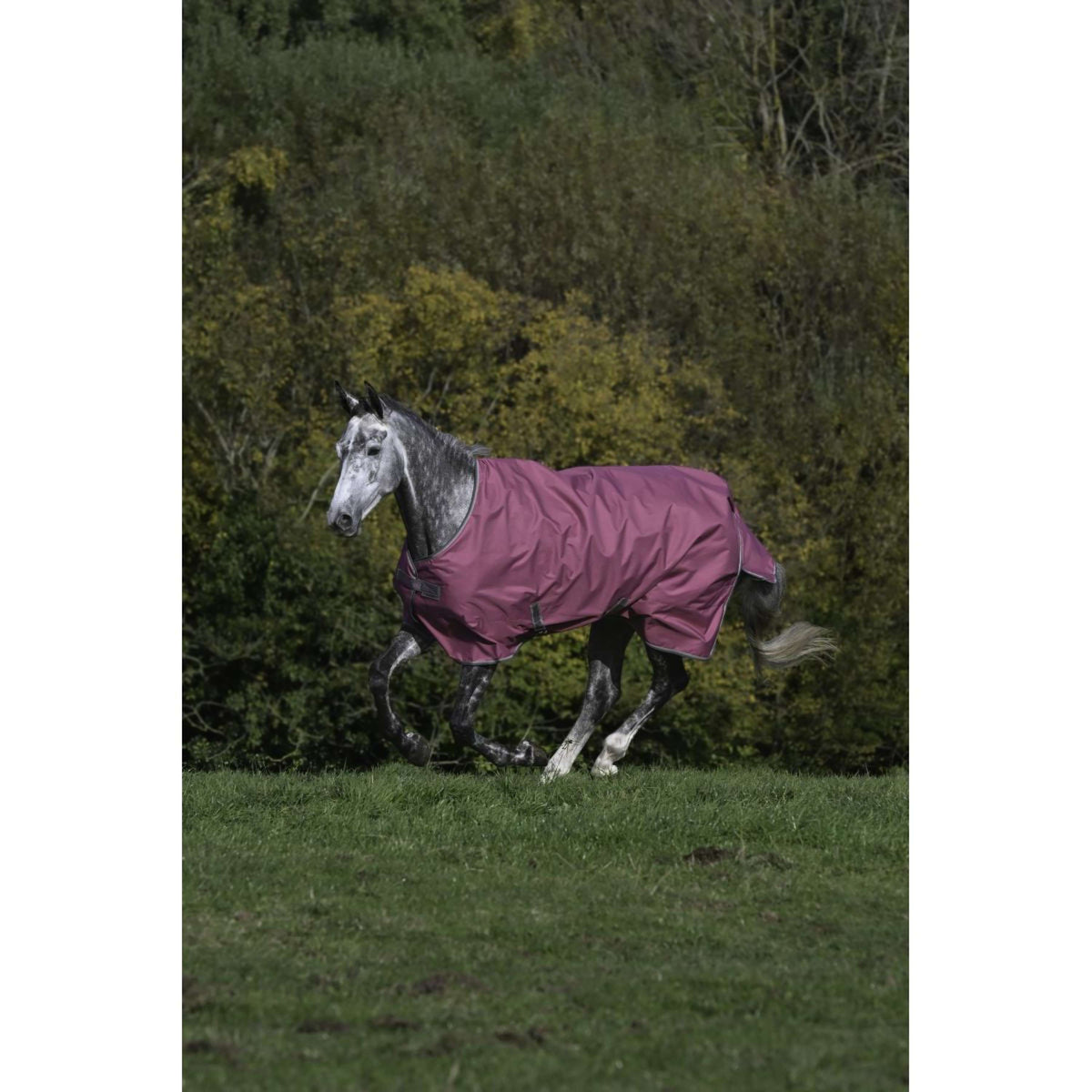 Bucas Freedom Turnout Light 0g Lampone