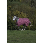 Bucas Freedom Turnout Light 0g Lampone