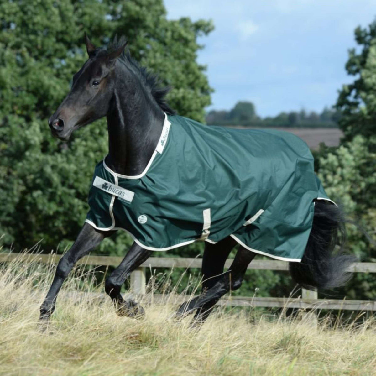 Bucas Coperta Impermeabile Green-Line Verde