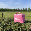 Aurora Pink
