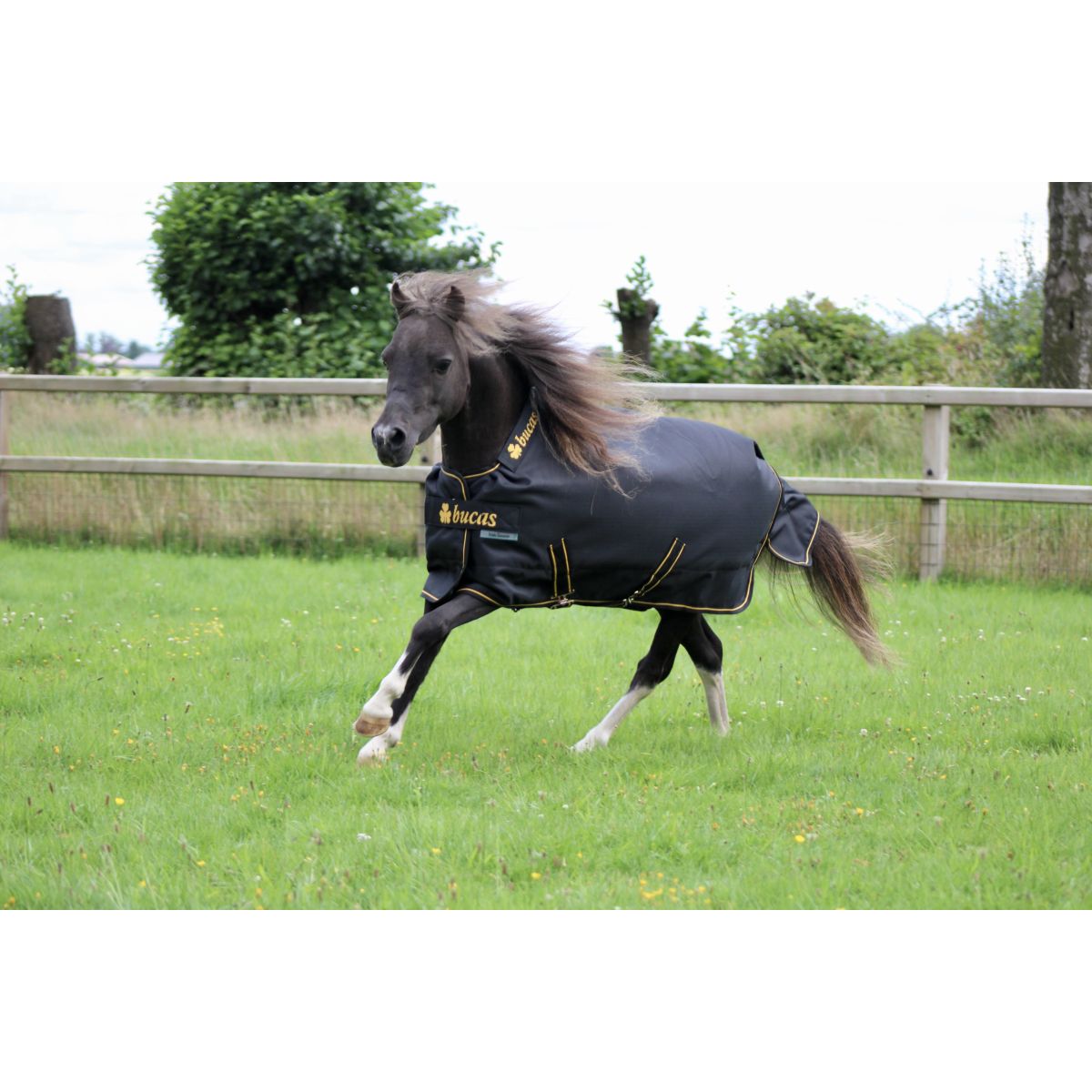 Bucas Irish Turnout 100g Nero/Oro