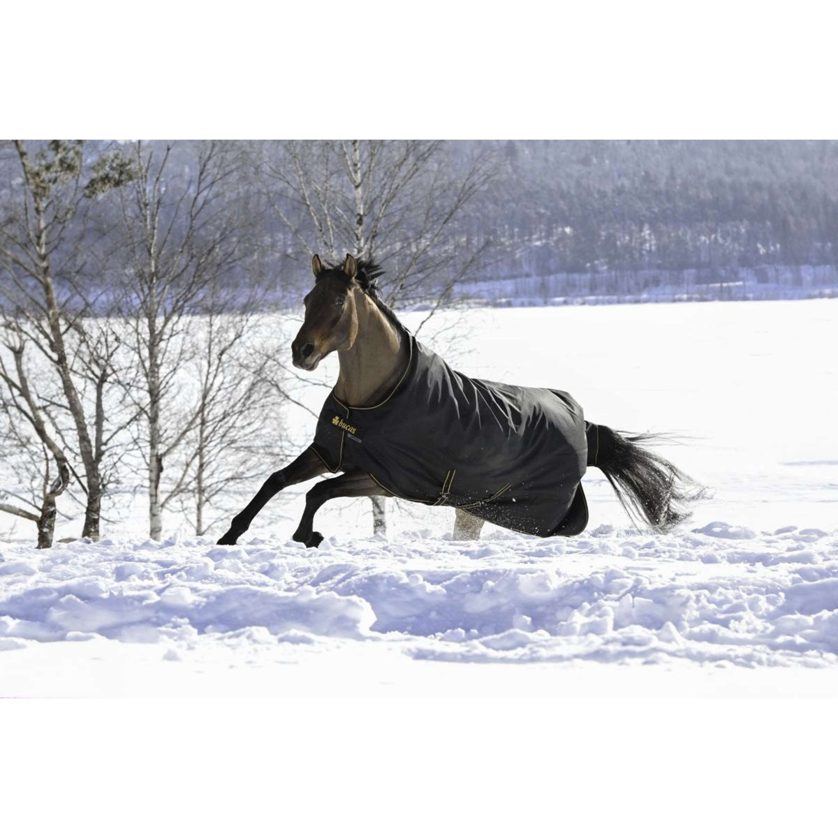 Bucas Irish Turnout 250g Nero/Oro