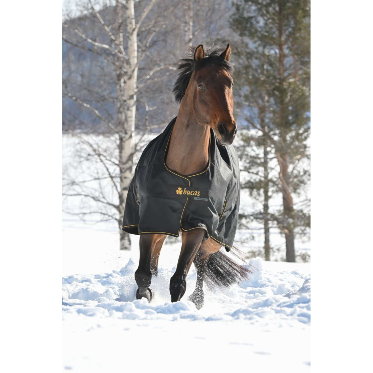 Bucas Irish Turnout 250g Nero/Oro