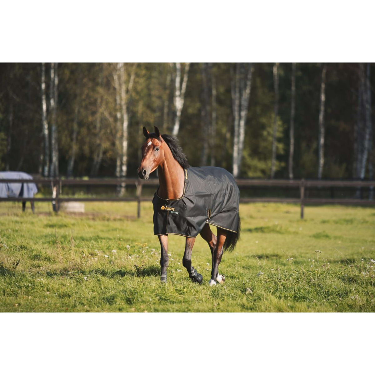 Bucas Irish Turnout 250g Nero/Oro