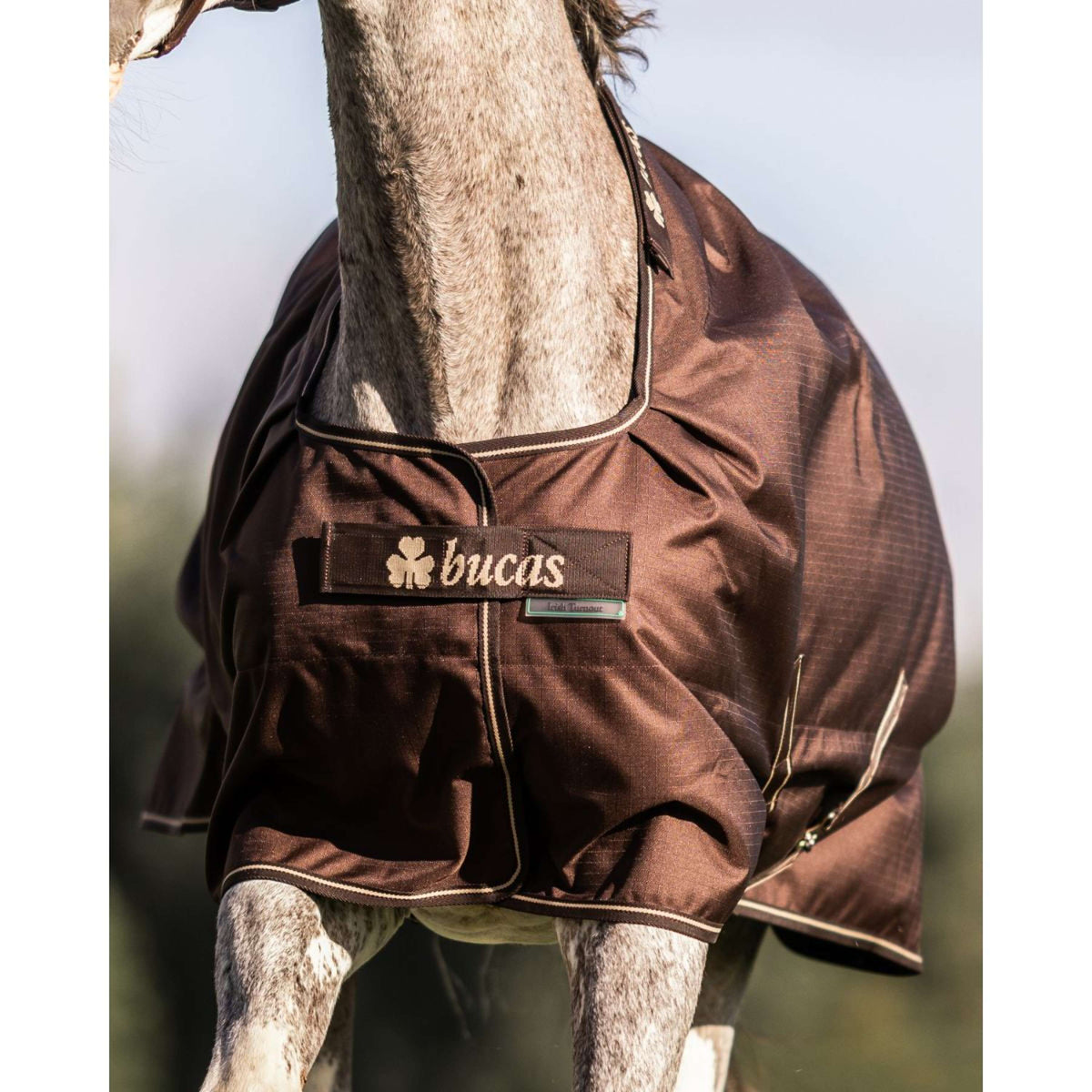 Bucas Irish Turnout 50g + Neck Espresso