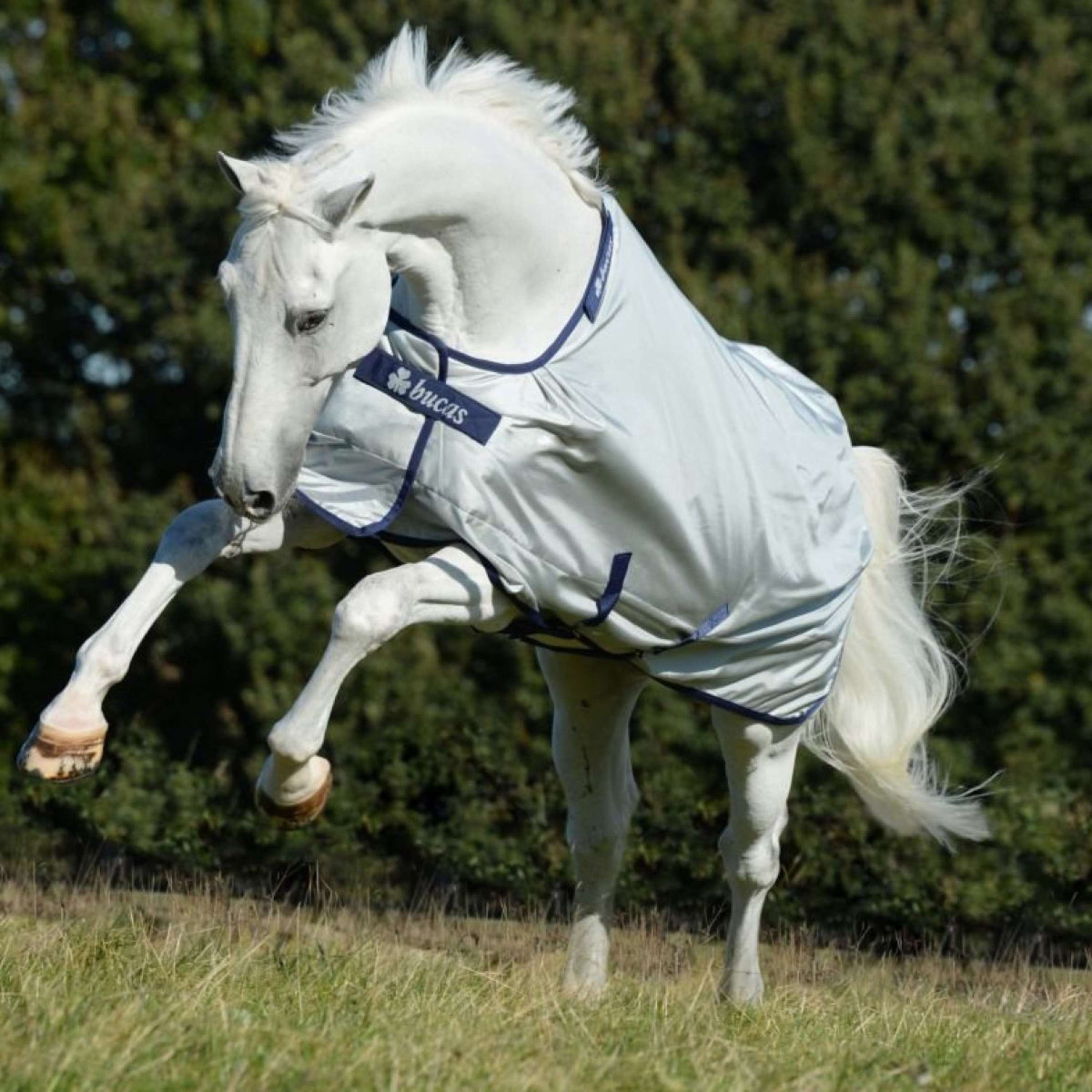 Bucas Turnout Power Medium 150g Argento