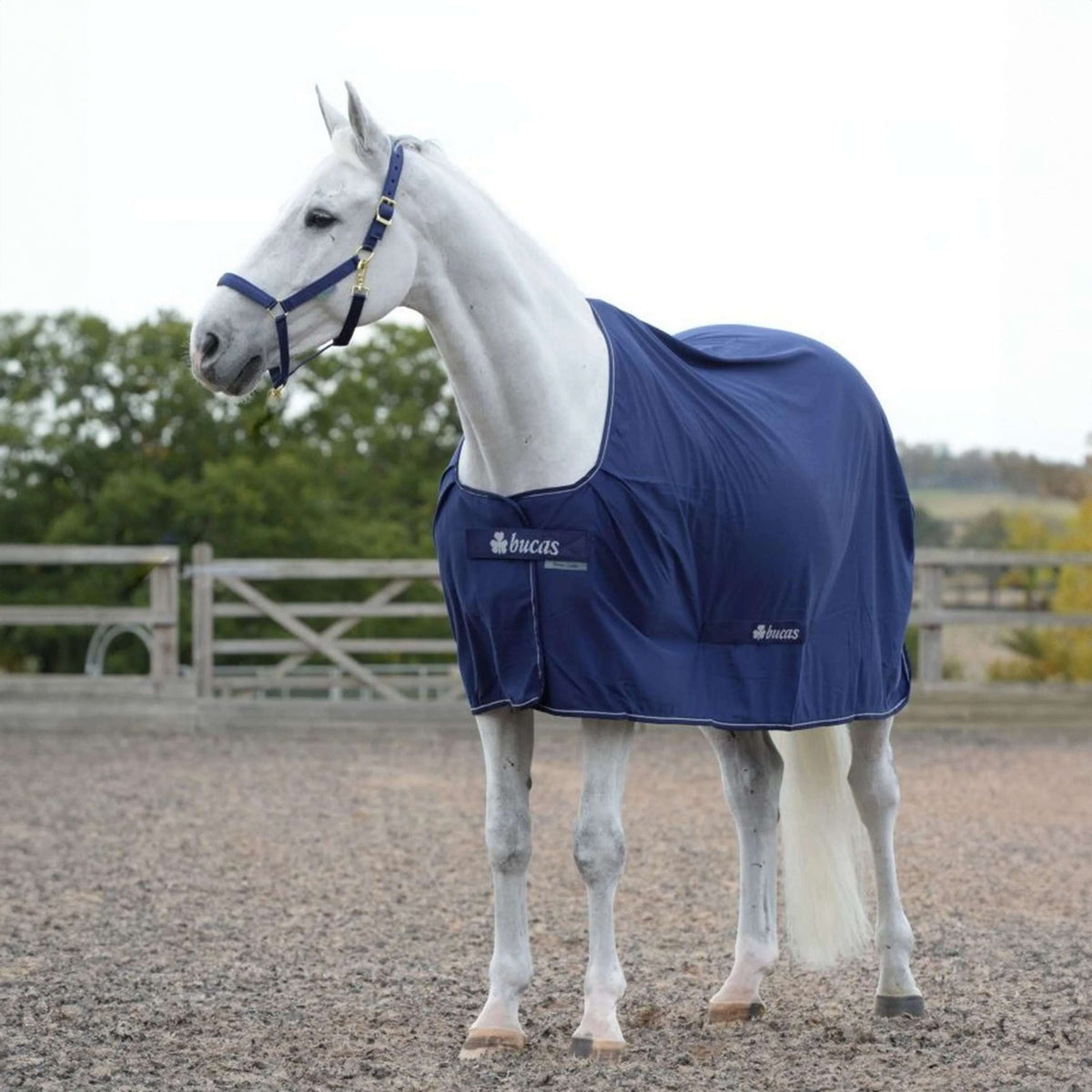 Bucas Power Cooler Blu marino/Argento