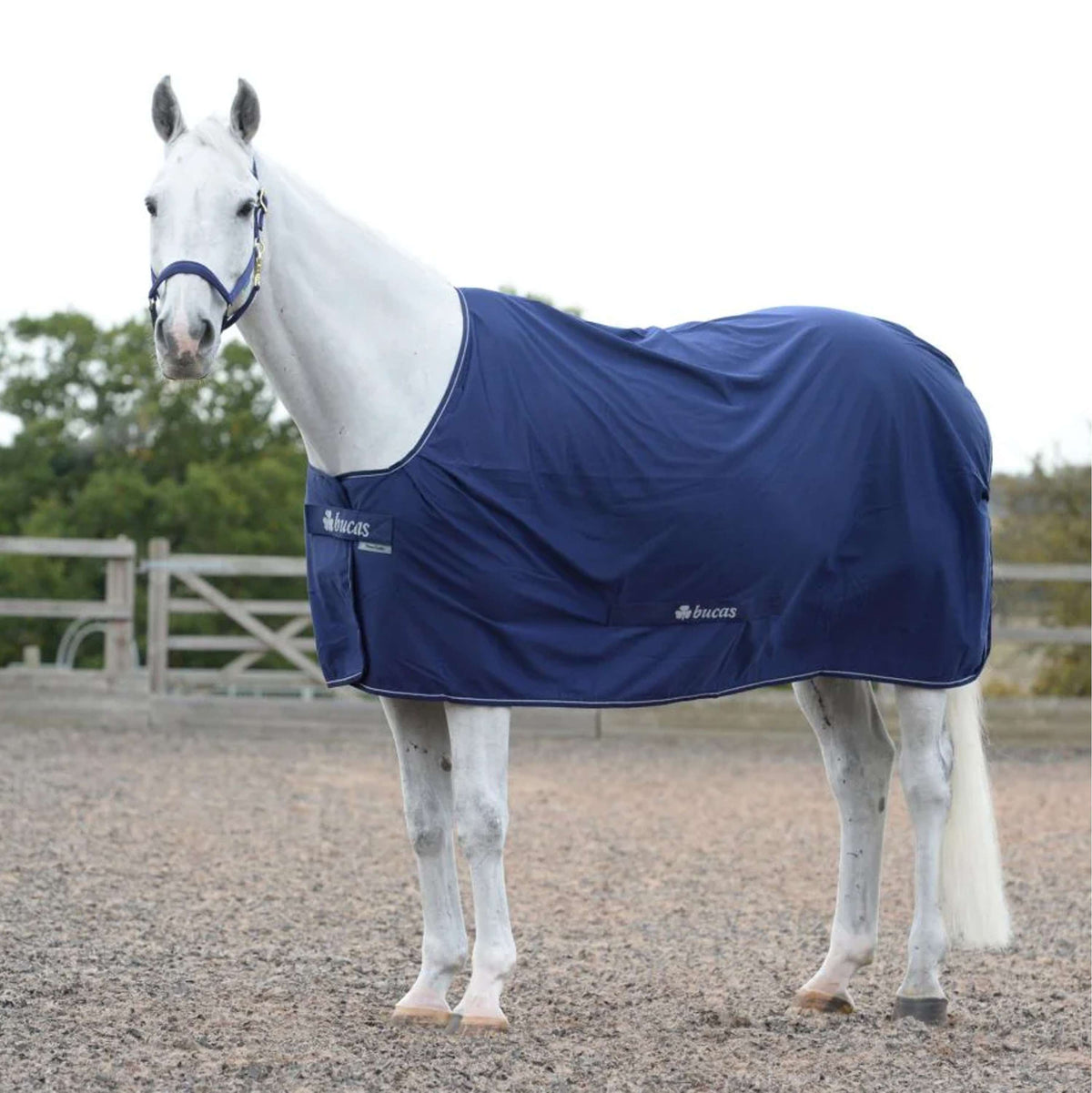 Bucas Power Cooler Blu marino/Argento