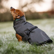 Bucas Dog Rug Reflectglow Reflectglow