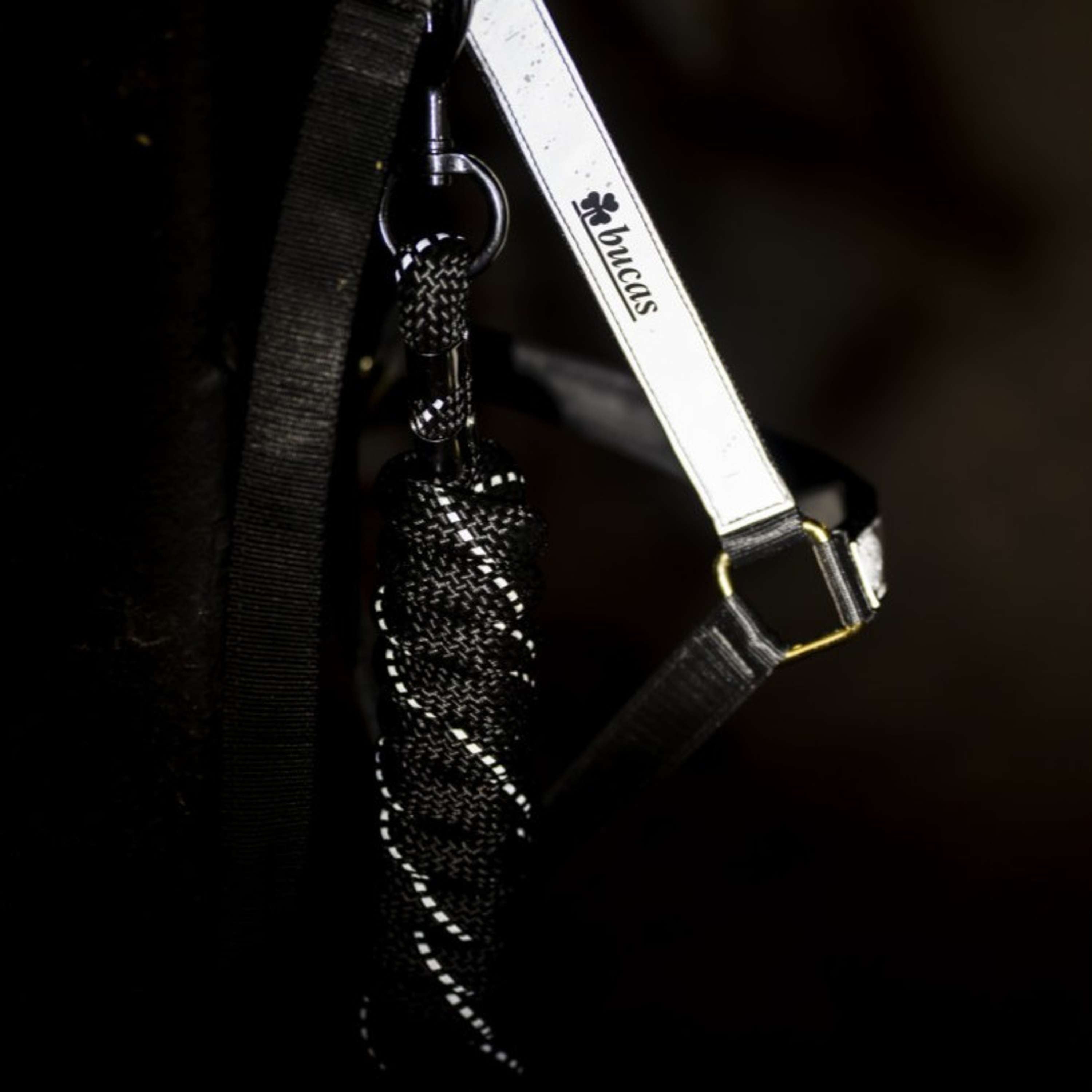 Bucas Corda per cavezza Reflectglow con Moschettone Reflectglow