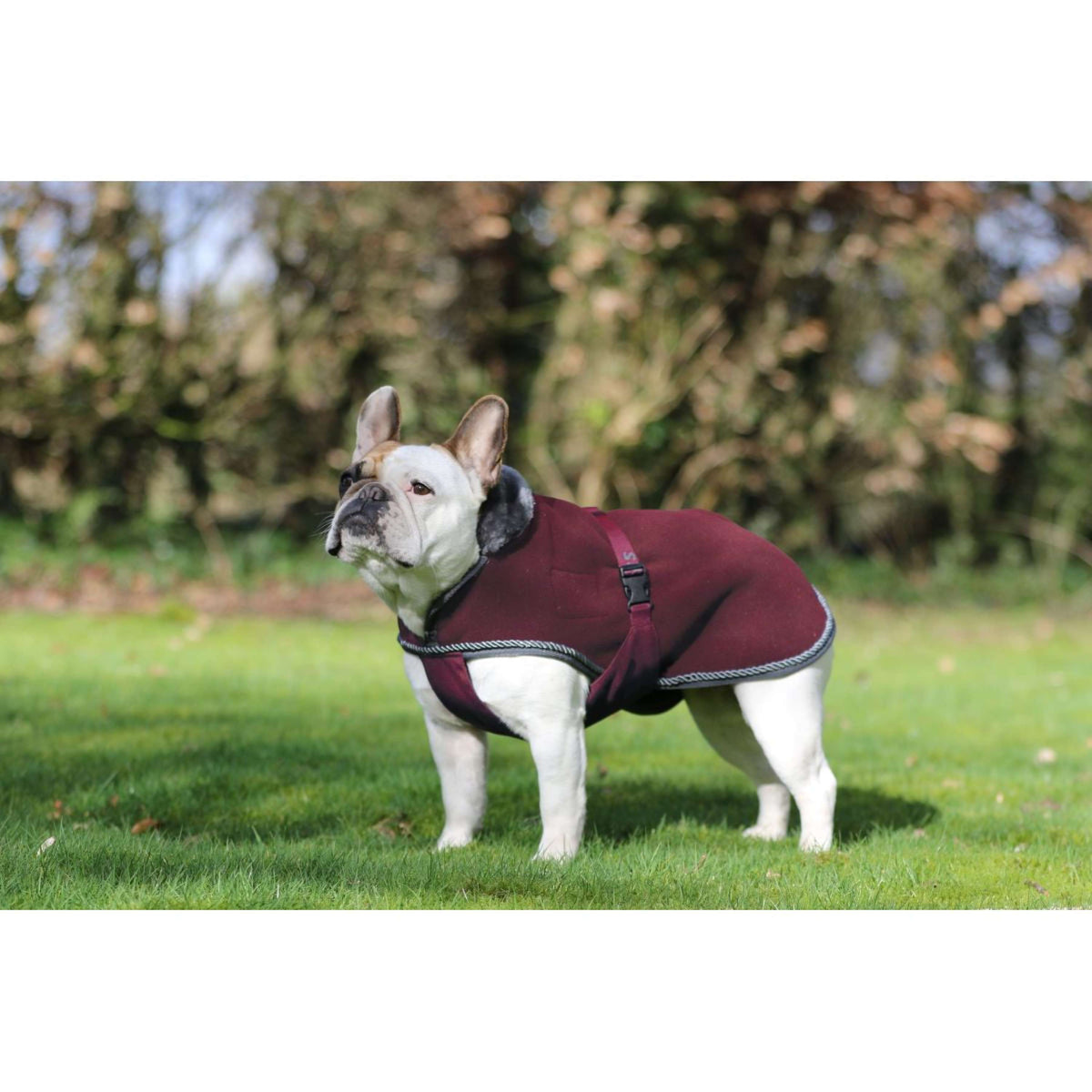 Bucas Coperta per Cani Show-Line Borgogna/Grigio