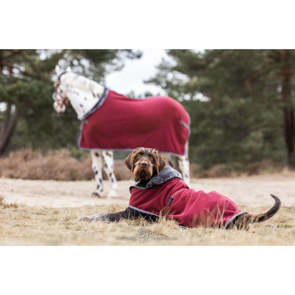 Bucas Coperta per Cani Show-Line Borgogna/Grigio