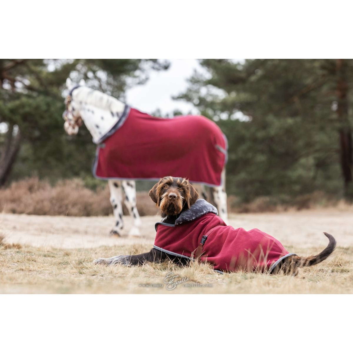 Bucas Coperta per Cani Show-Line Borgogna/Grigio