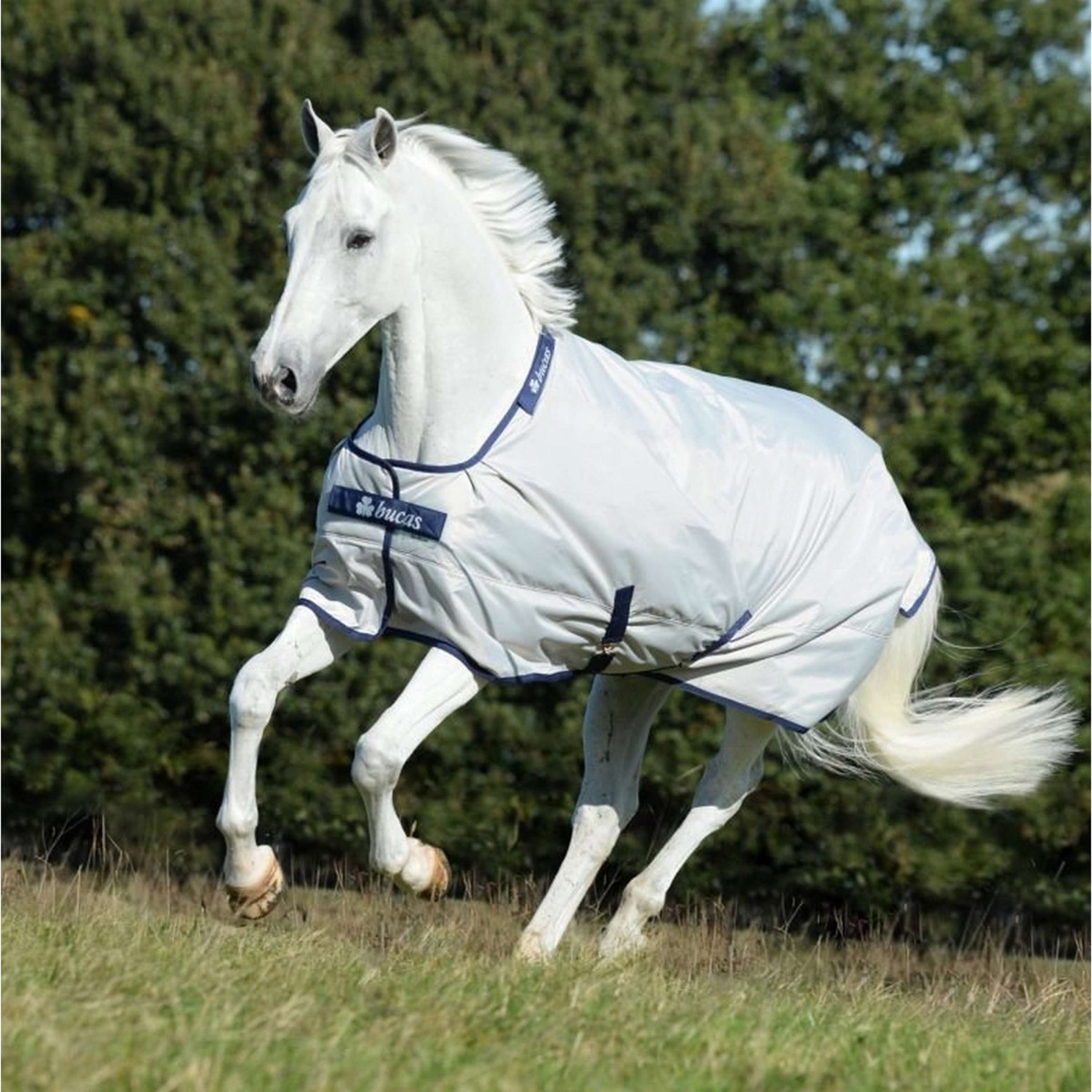 Bucas Sun Shower 0g Argento Bucas Sun Shower 0g Argento