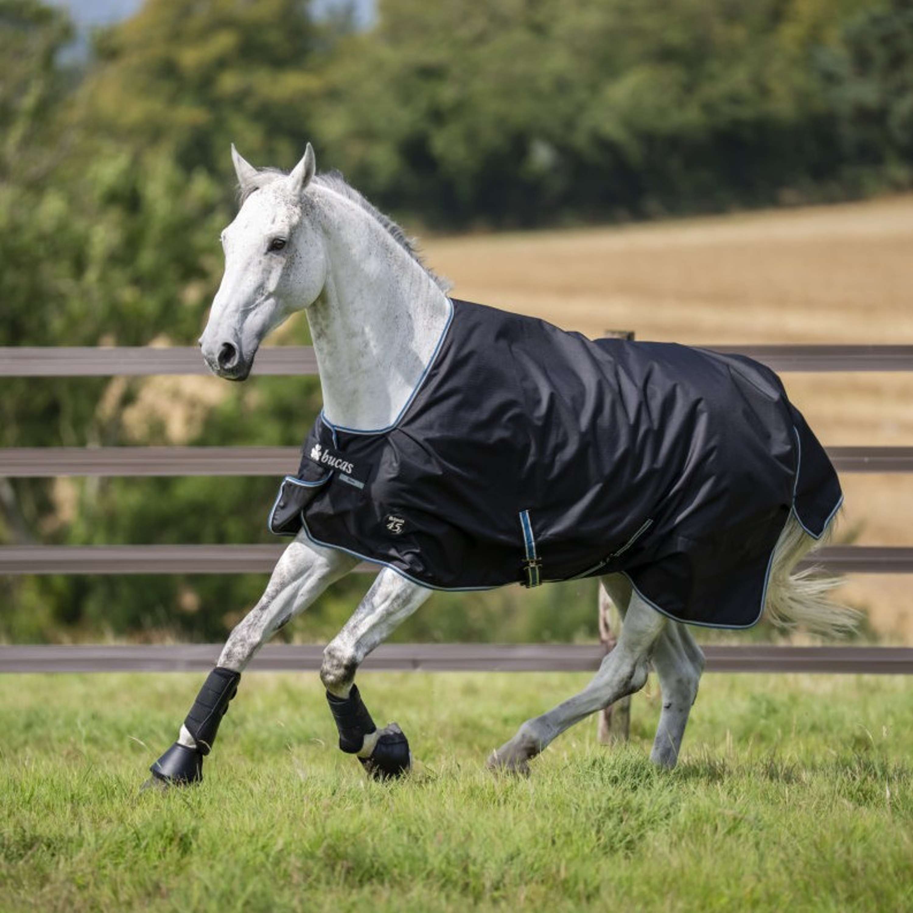 Bucas Anniversary Turnout Dermo-care 50 g Sapphire