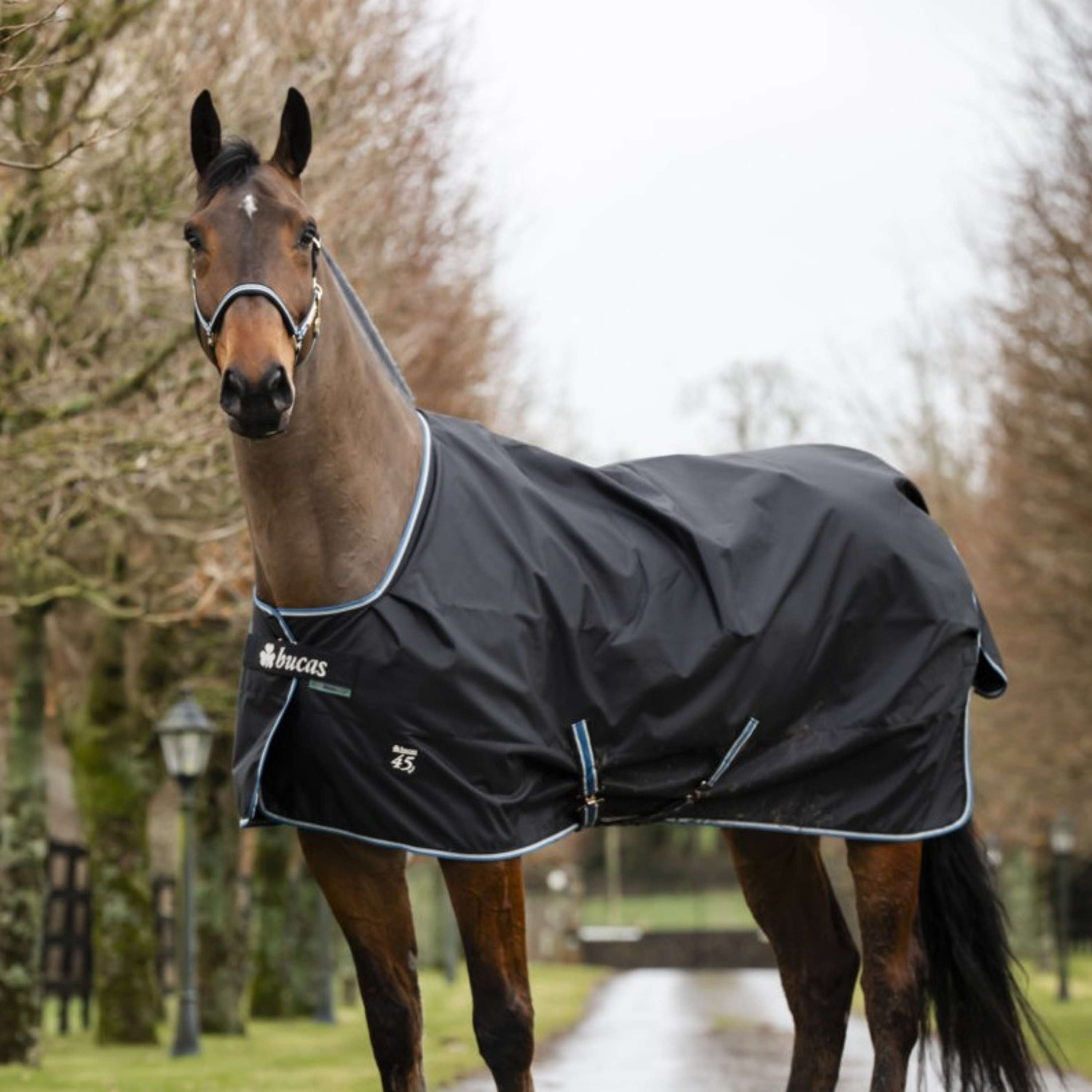 Bucas Anniversary Turnout Dermo-care 50 g Sapphire