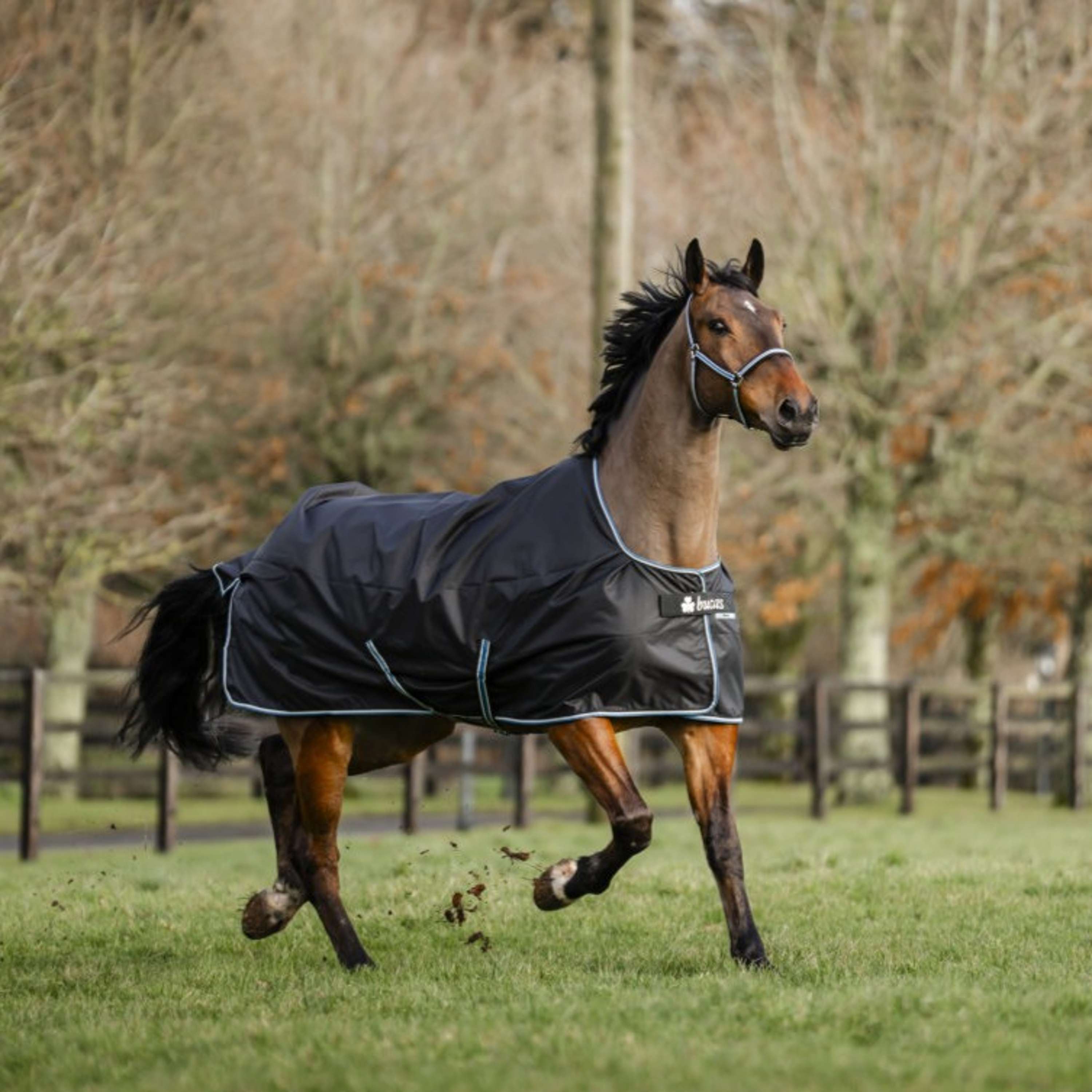 Bucas Anniversary Turnout Dermo-care 50 g Sapphire