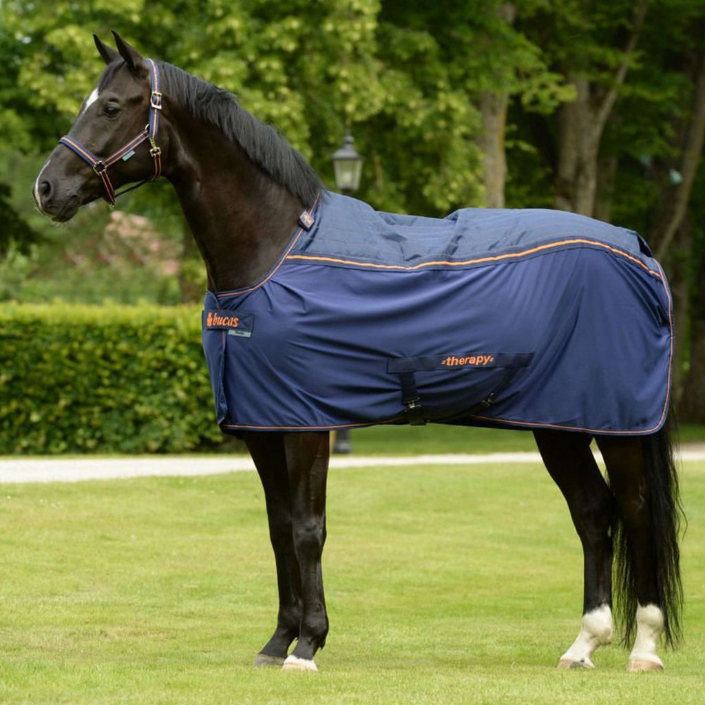 Bucas Therapy Cooler Blu marino/arancione