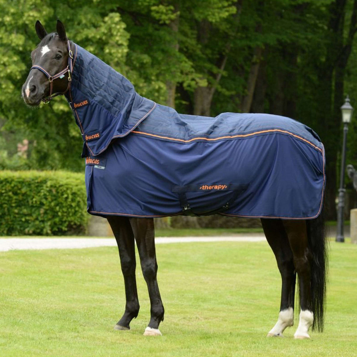 Raffreddatore Bucas Therapy Blu marino/arancione