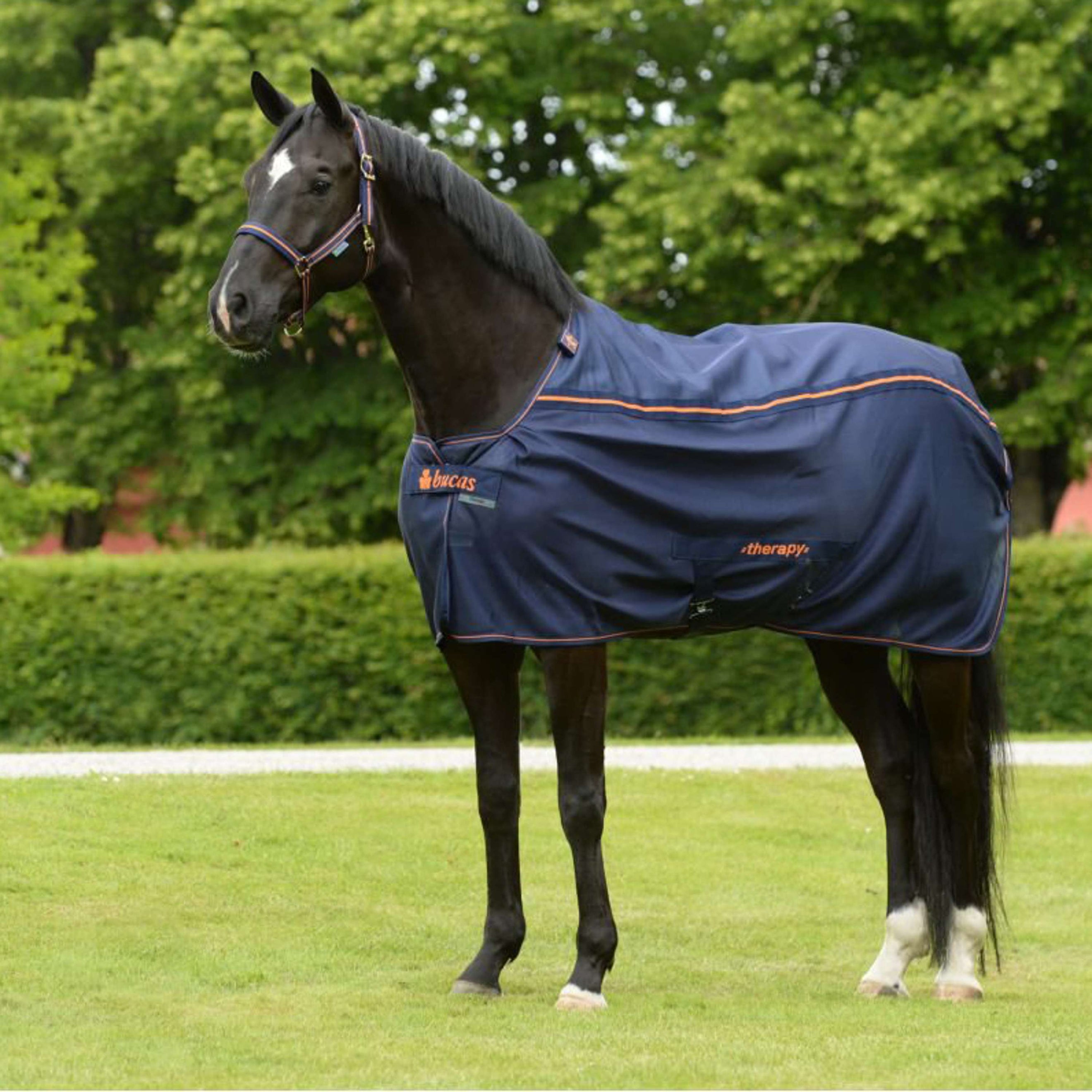 Bucas Therapy Mesh Cooler Blu marino/arancione Bucas Therapy Mesh Cooler Blu marino/arancione