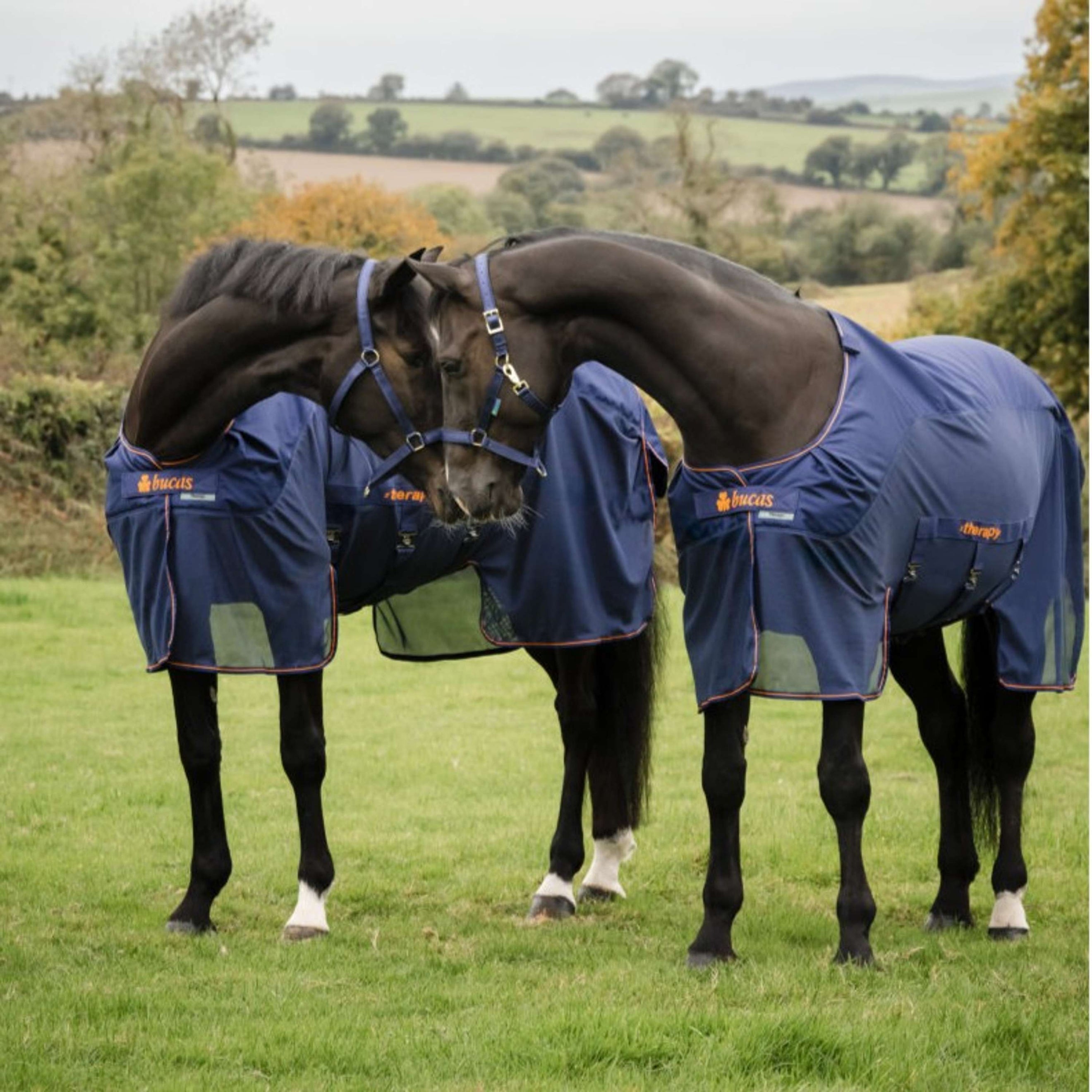 Bucas Terapia X-Range Rain Blu marino/arancione